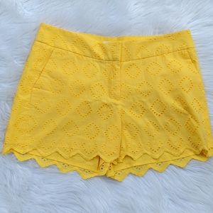 Crown & Ivy shorts